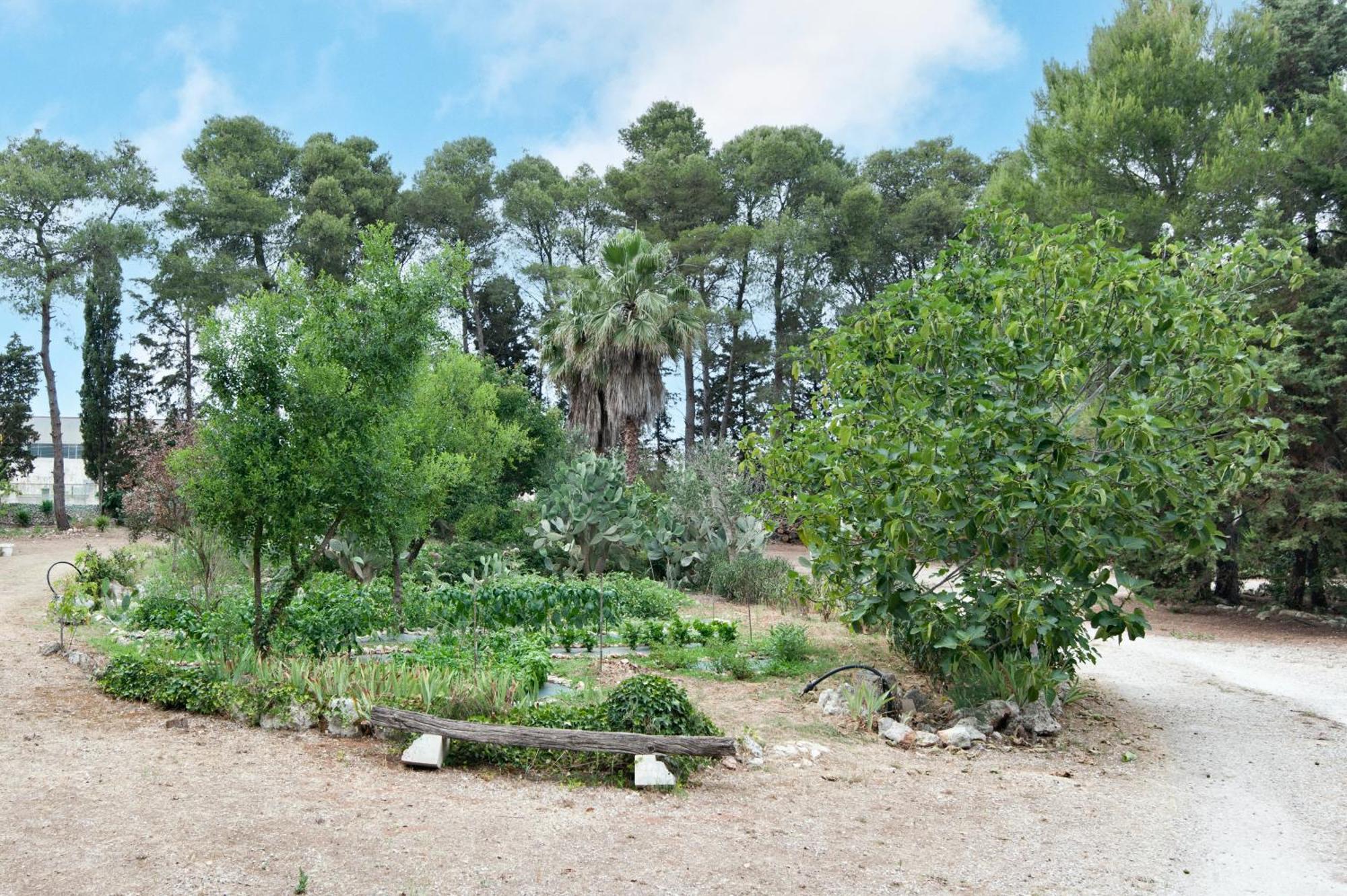 הוילה Castrignano de' Greci Tenuta Chimeta - Peace Retreat מראה חיצוני תמונה